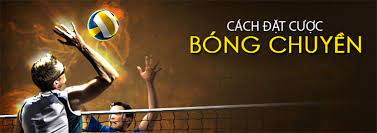 Thông tin về bóng chuyền tại Fb88 Thong tin ve bong chuyen tai Fb88