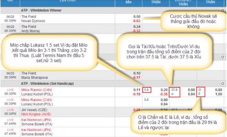 Kinh nghiệm chơi cá cược tennis Kinh nghiem choi ca cuoc tennis