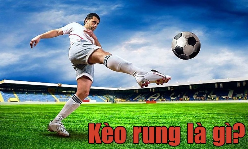 Cách xem kèo rung bóng đá tại Fb88 Cach xem keo rung bong da tai Fb88
