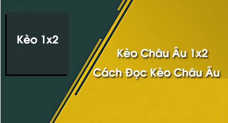 Tìm hiểu Odds châu Âu là gì Tim hieu Odds chau Au la gi