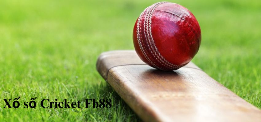 Tìm hiểu xố số Cricket tại Fb88 Tim hieu so xo Cricket tai Fb88